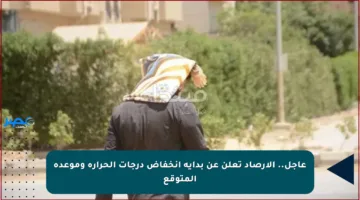 عاجل.. الأرصاد تعلن عن بداية انخفاض درجات الحرارة وموعده المتوقع